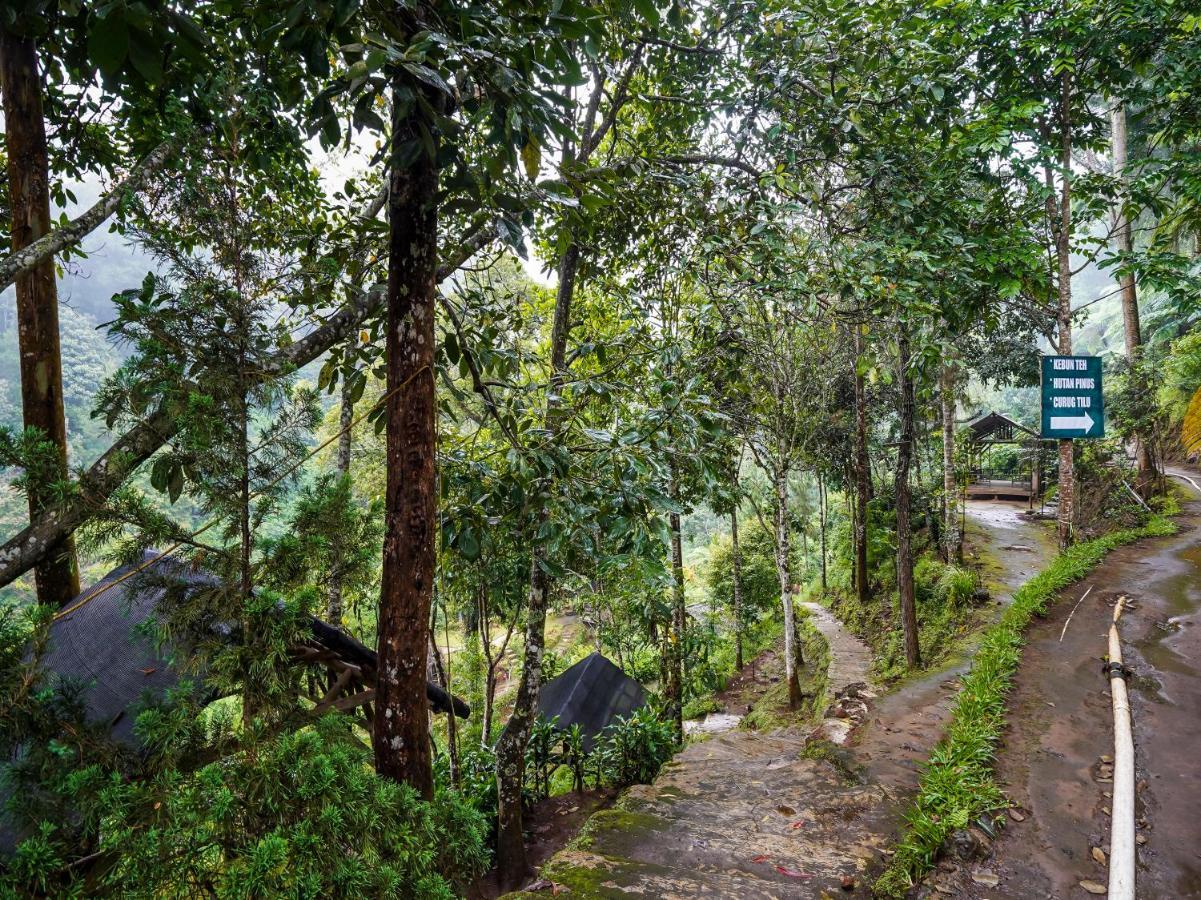 OYO Homes 90915 Eco Tourism Desa Cihanjuang Rahayu Ciwangun Indah Camp Villas Bongkar Bagian luar foto