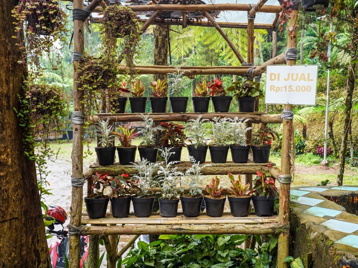 OYO Homes 90915 Eco Tourism Desa Cihanjuang Rahayu Ciwangun Indah Camp Villas Bongkar Bagian luar foto