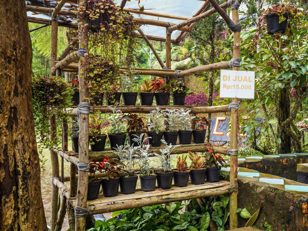 OYO Homes 90915 Eco Tourism Desa Cihanjuang Rahayu Ciwangun Indah Camp Villas Bongkar Bagian luar foto