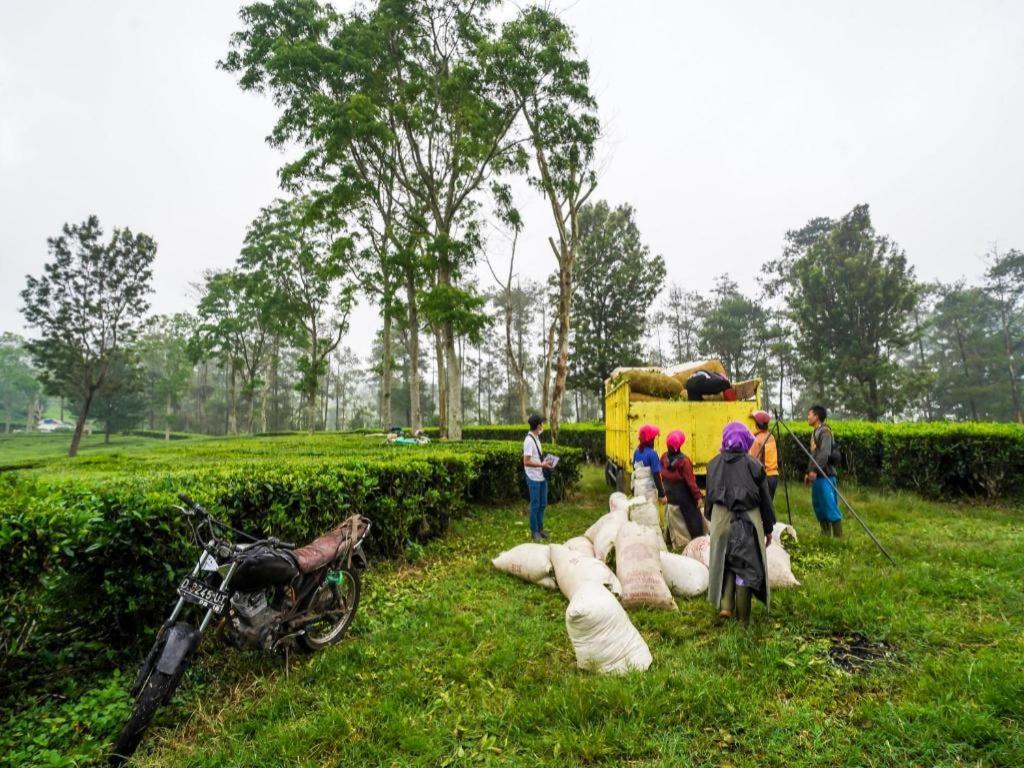 OYO Homes 90915 Eco Tourism Desa Cihanjuang Rahayu Ciwangun Indah Camp Villas Bongkar Bagian luar foto
